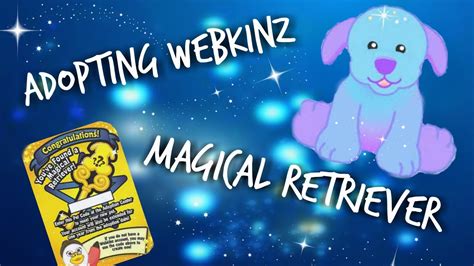 The Joy of Owning a Magical Retriever Webkinz